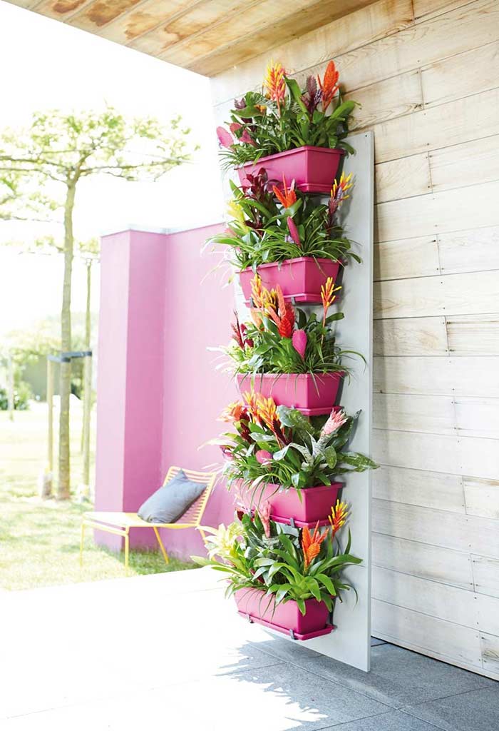 Como Criar Seu Próprio Jardim Vertical Sustentável