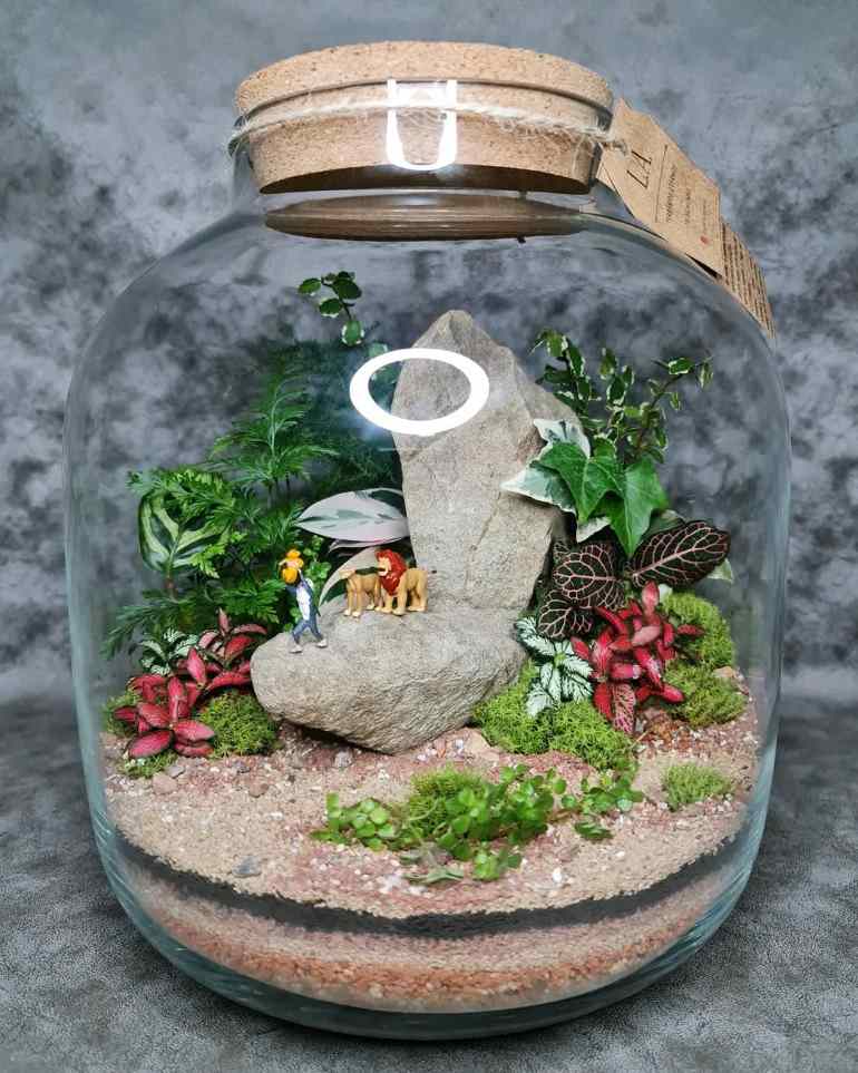 Plantas charmosas para seu Terrarium encantado