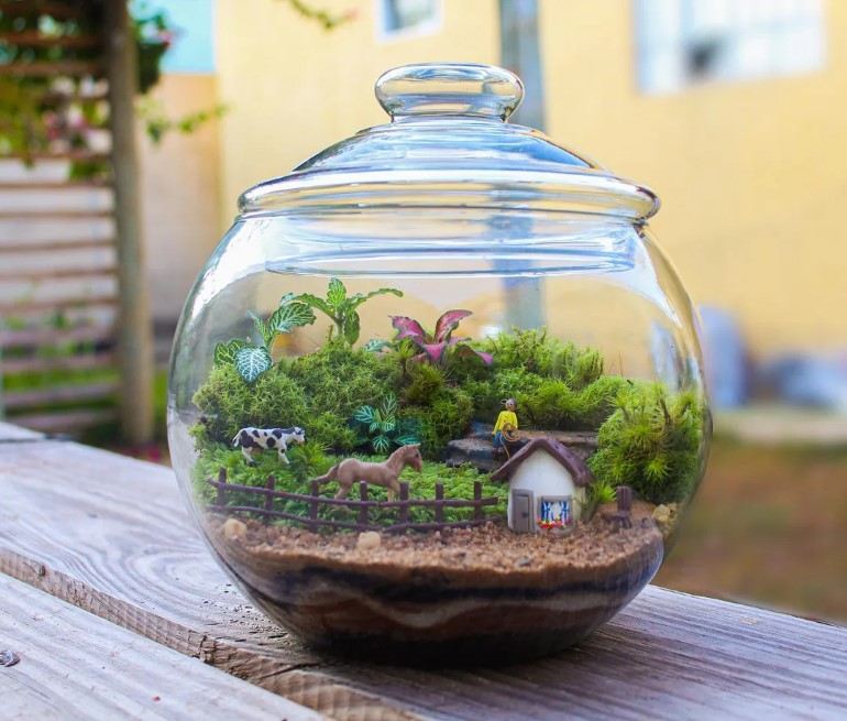 Plantas charmosas para seu Terrarium encantado