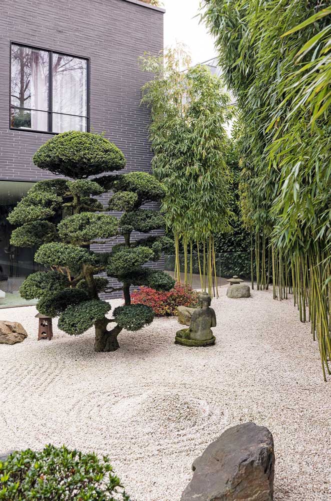 Jardins japoneses: Beleza natural que inspira