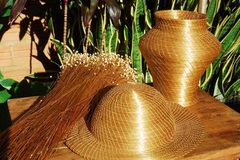 Capim dourado para decoração artesanal: onde encontrar e ideias criativas