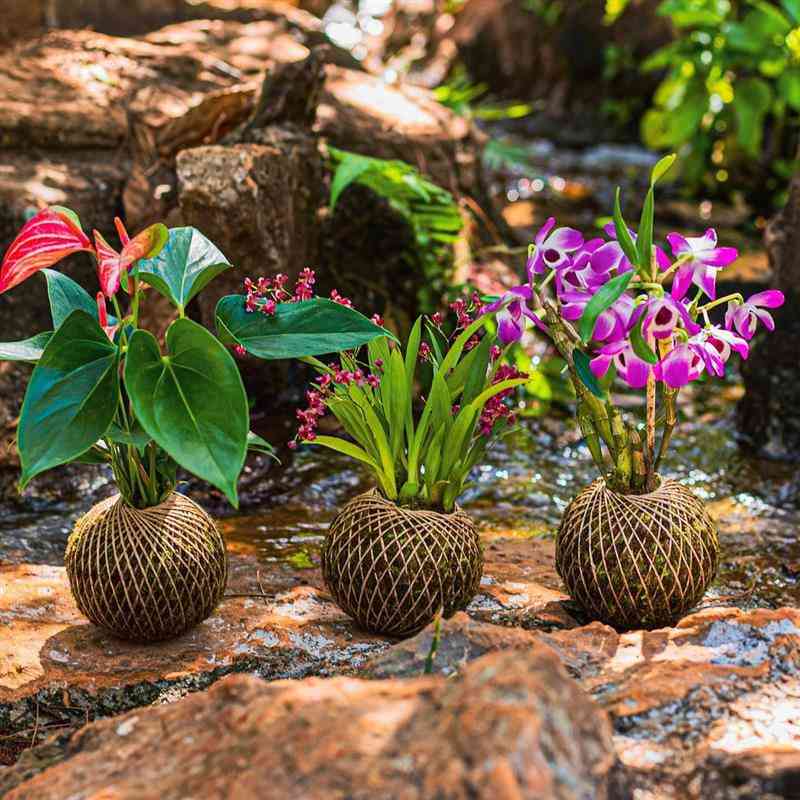 Kokedamas fofos: Aprenda a fazer e cuidar das suas plantinhas penduradas