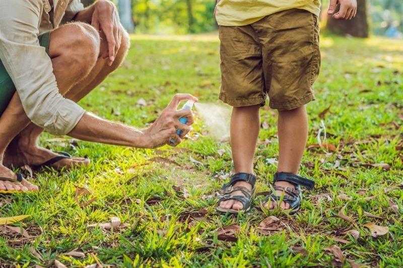 10 maneiras caseiras infalíveis de espantar mosquitos