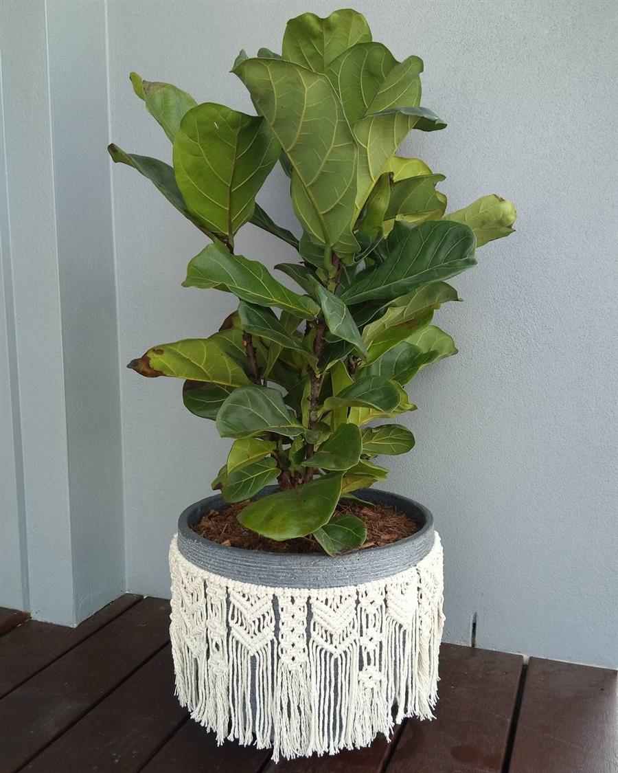 10 maneiras criativas de usar macramê para decorar vasos de plantas