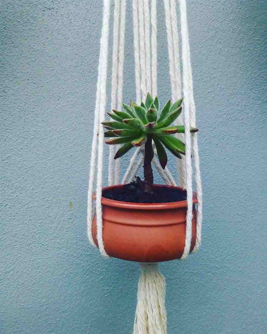 10 maneiras criativas de usar macramê para decorar vasos de plantas