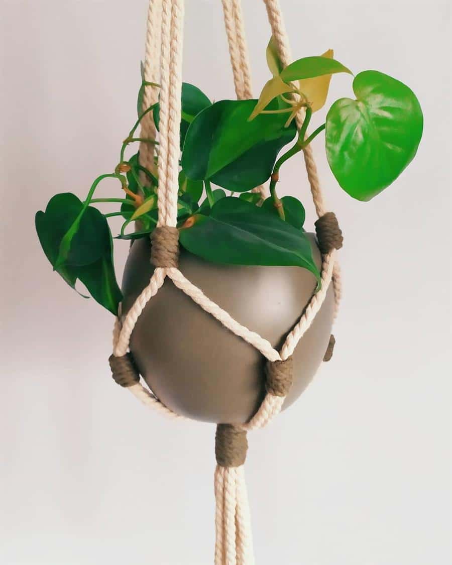 10 maneiras criativas de usar macramê para decorar vasos de plantas