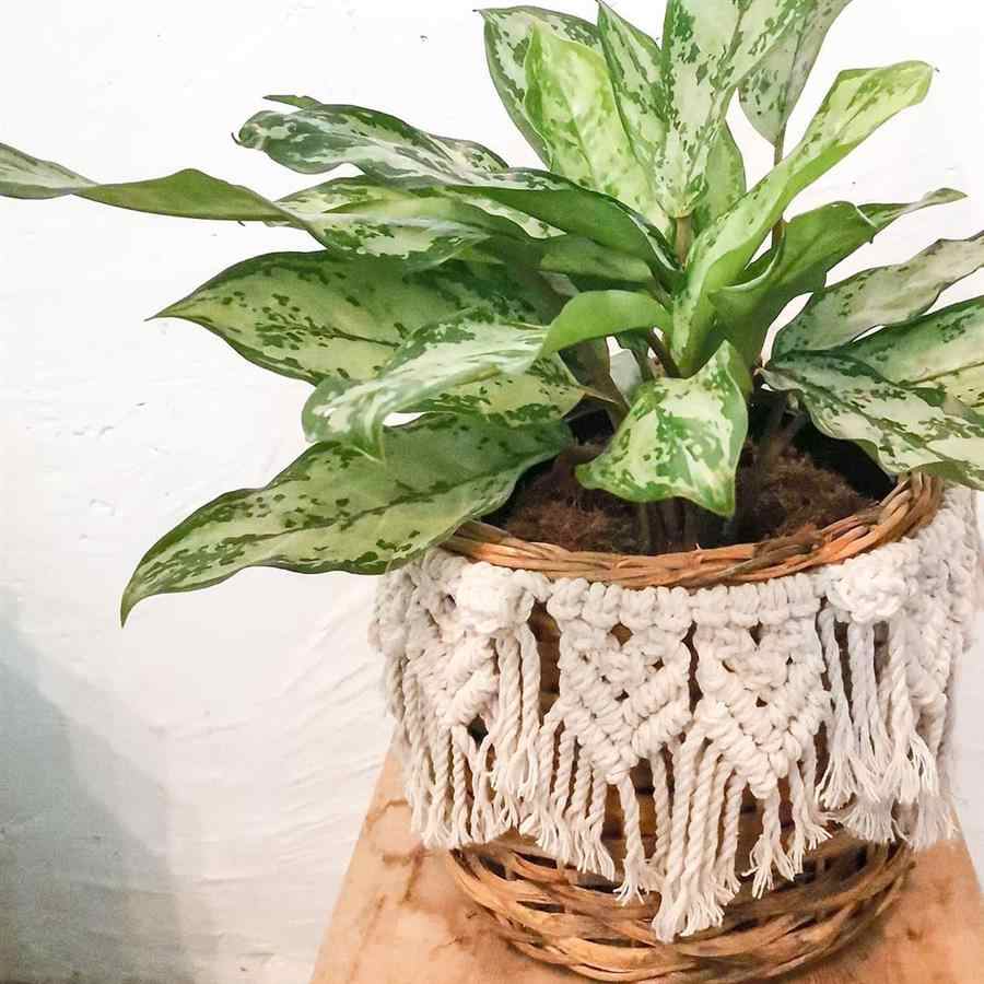 10 maneiras criativas de usar macramê para decorar vasos de plantas