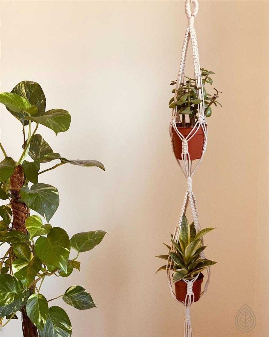 10 maneiras criativas de usar macramê para decorar vasos de plantas