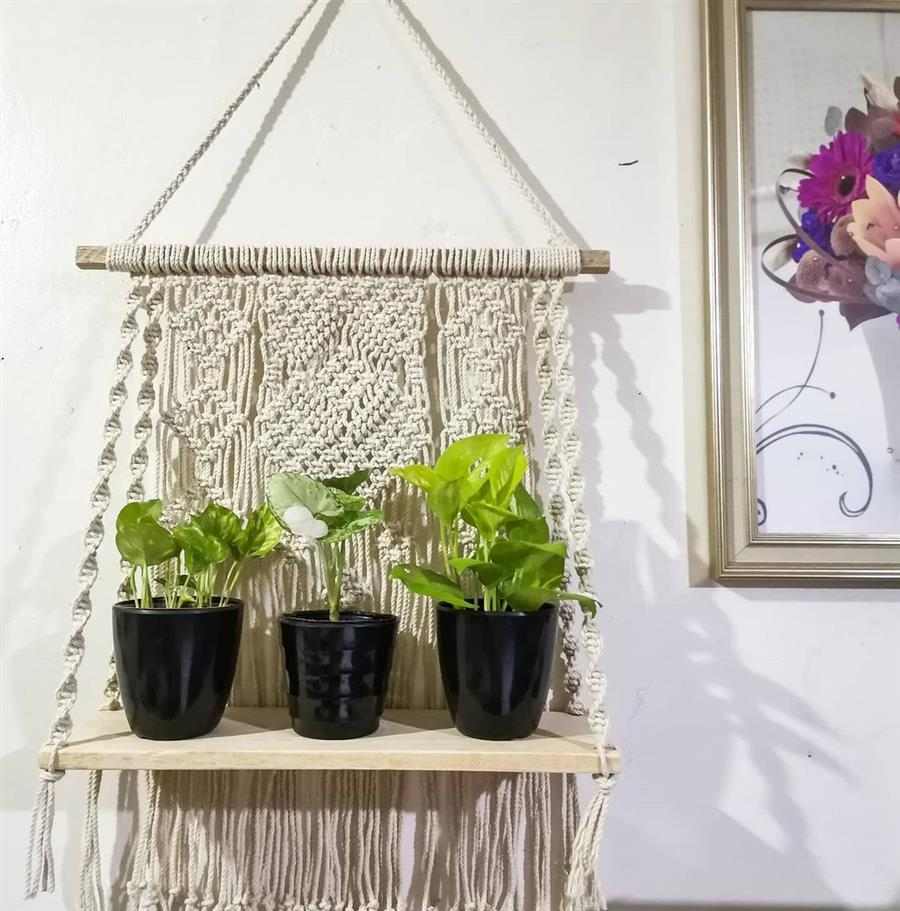 10 maneiras criativas de usar macramê para decorar vasos de plantas