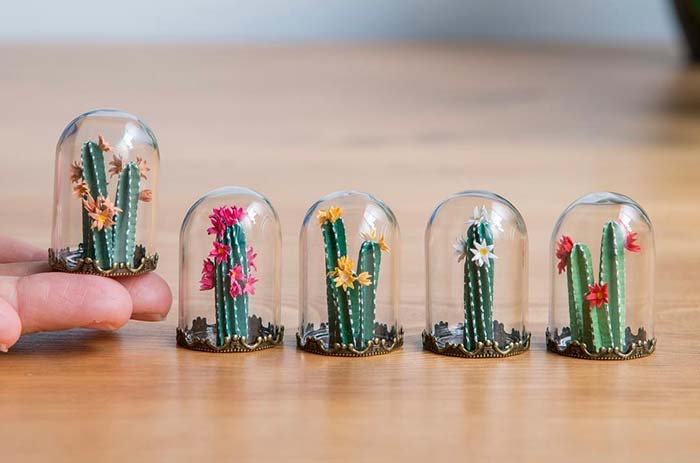 Aprenda a criar 85 modelos de terrários fascinantes com nossas dicas ilustradas