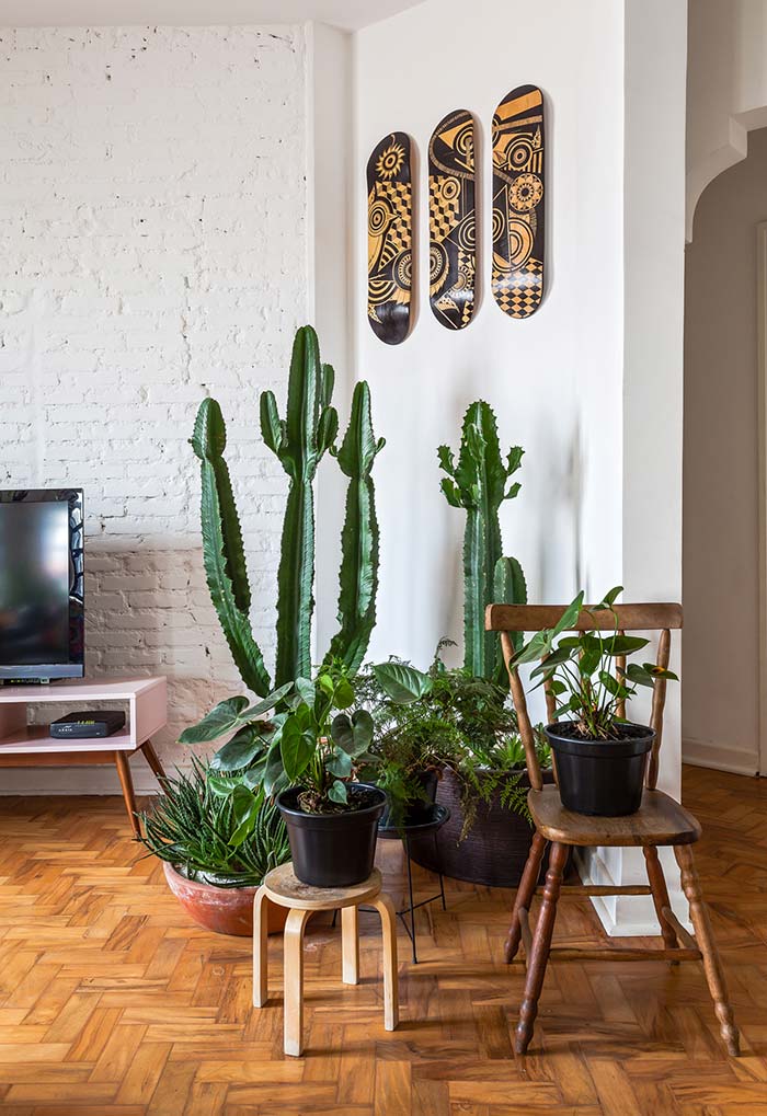 Decore com cactos de forma criativa e original