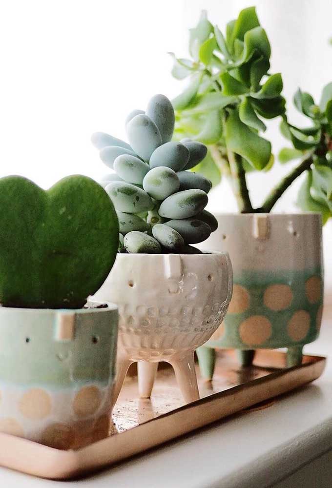 Plantas ornamentais incríveis para decorar sua casa