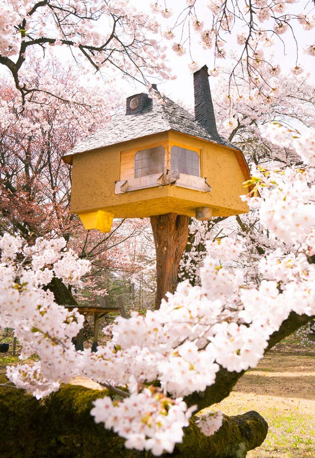 Casas na árvore: 50 ideias criativas para construir seu refúgio secreto