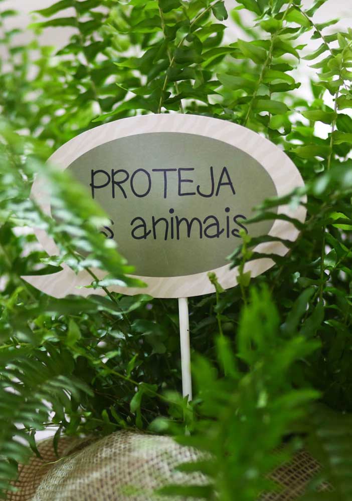 Festas de Safari: inspirações de decoração ecológica para celebrar a natureza