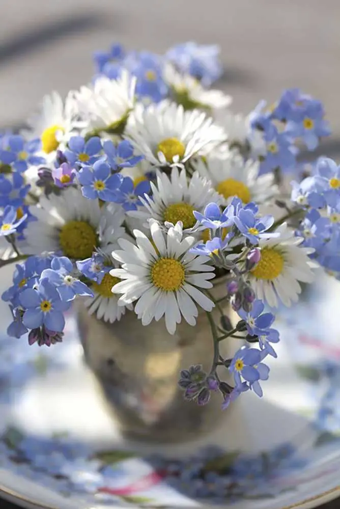 Arranjos de flores em casa: inspire-se em 70 fotos e tutoriais fáceis de fazer