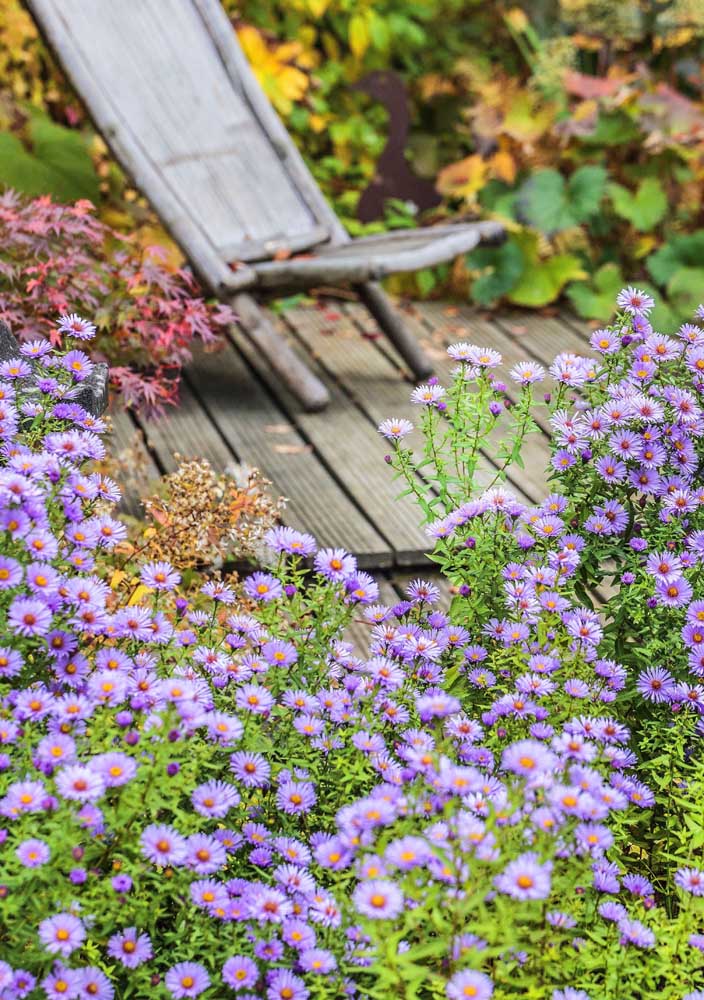 Dicas criativas para decorar com flores silvestres