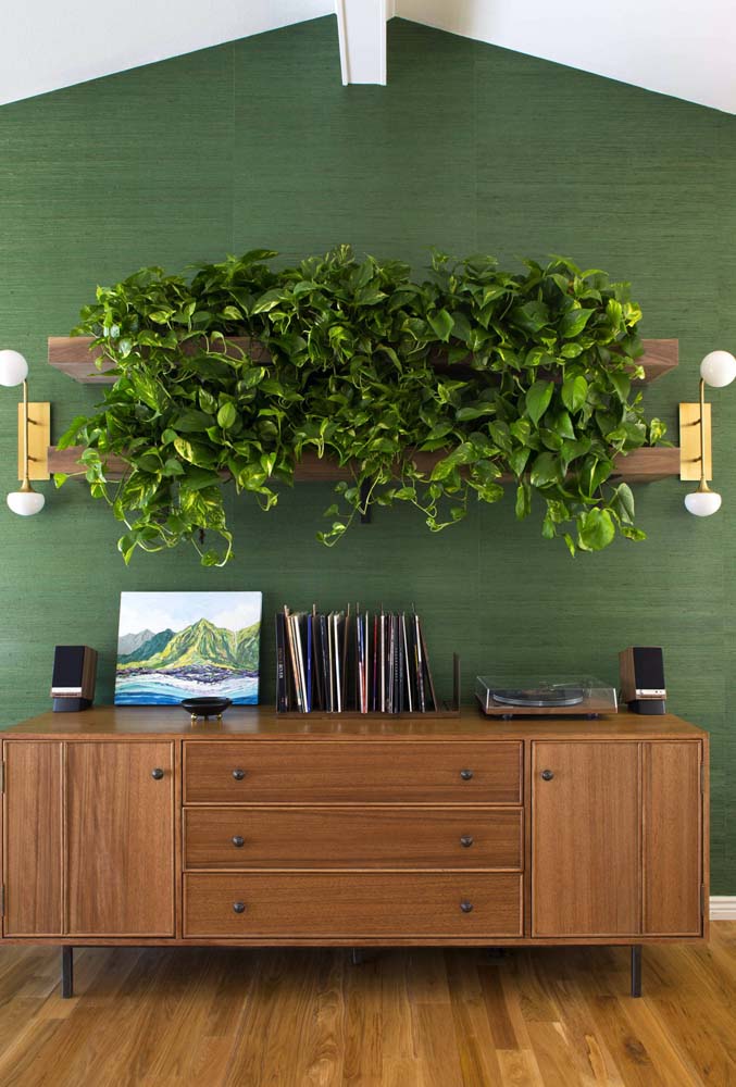 Decoração com verde musgo: inspirações naturais e charmosas para sua casa