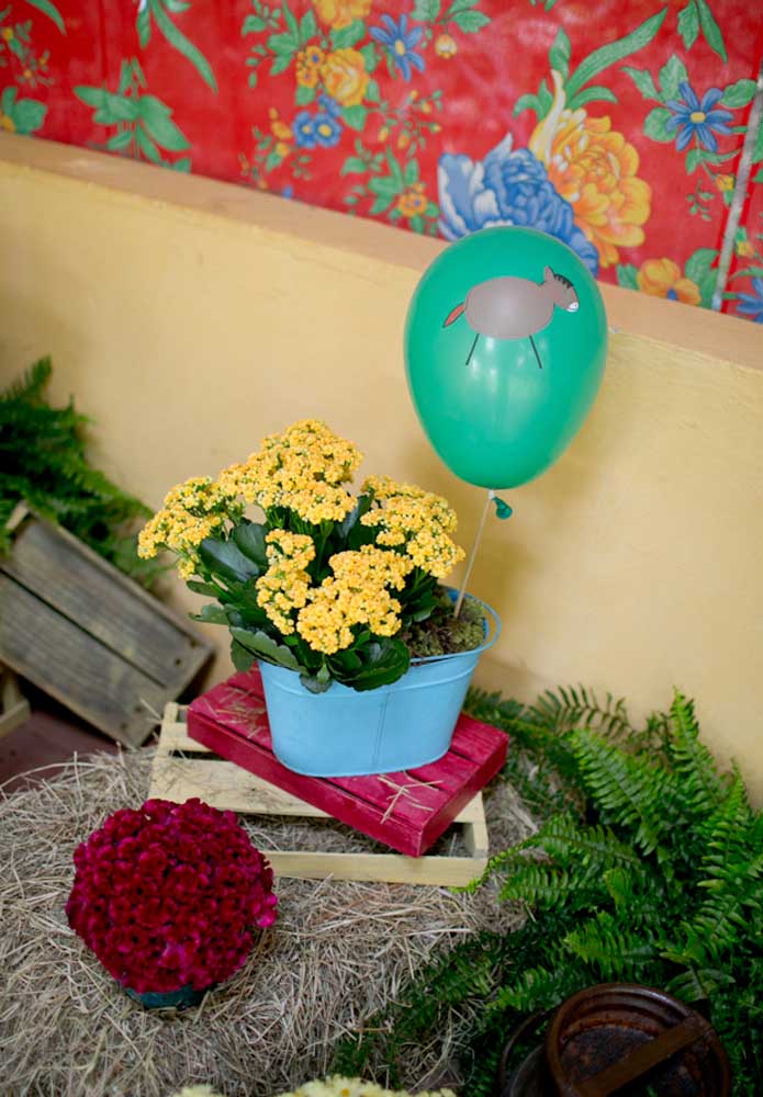 Festa fazendinha em casa: inspire-se em 60 ideias charmosas de decoração artesanal