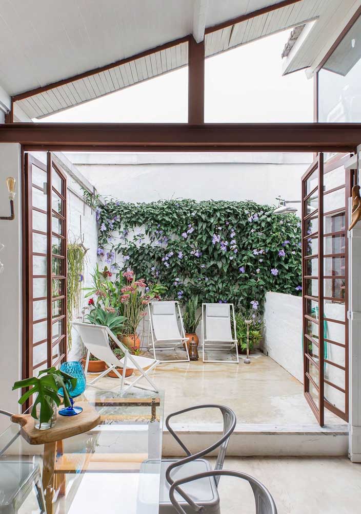 Jardineiro caseiro: Inspire-se com 7 trepadeiras para colorir sua casa