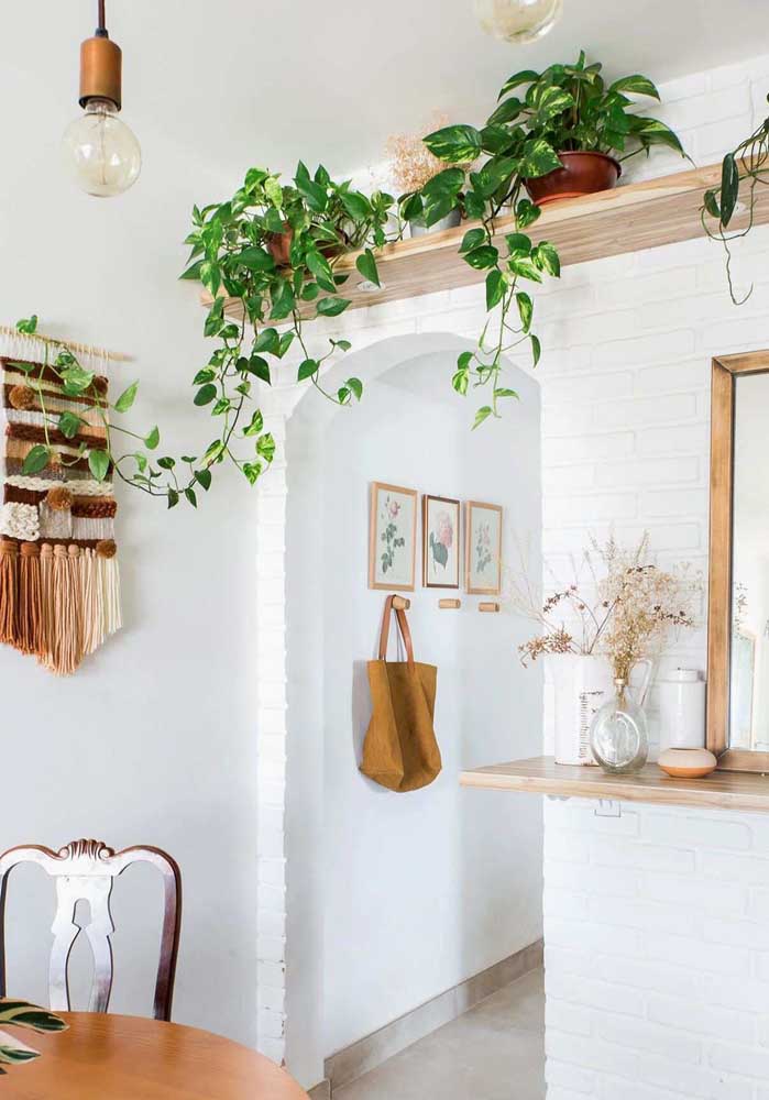 34 Dicas para Decoração de Sala com Plantas