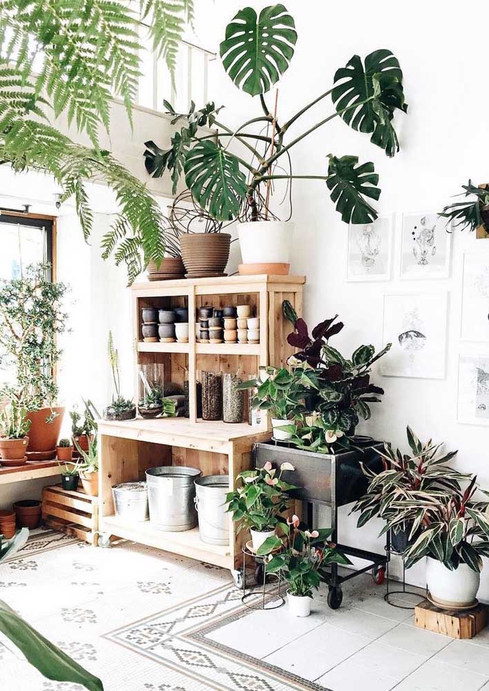 34 Dicas para Decoração de Sala com Plantas