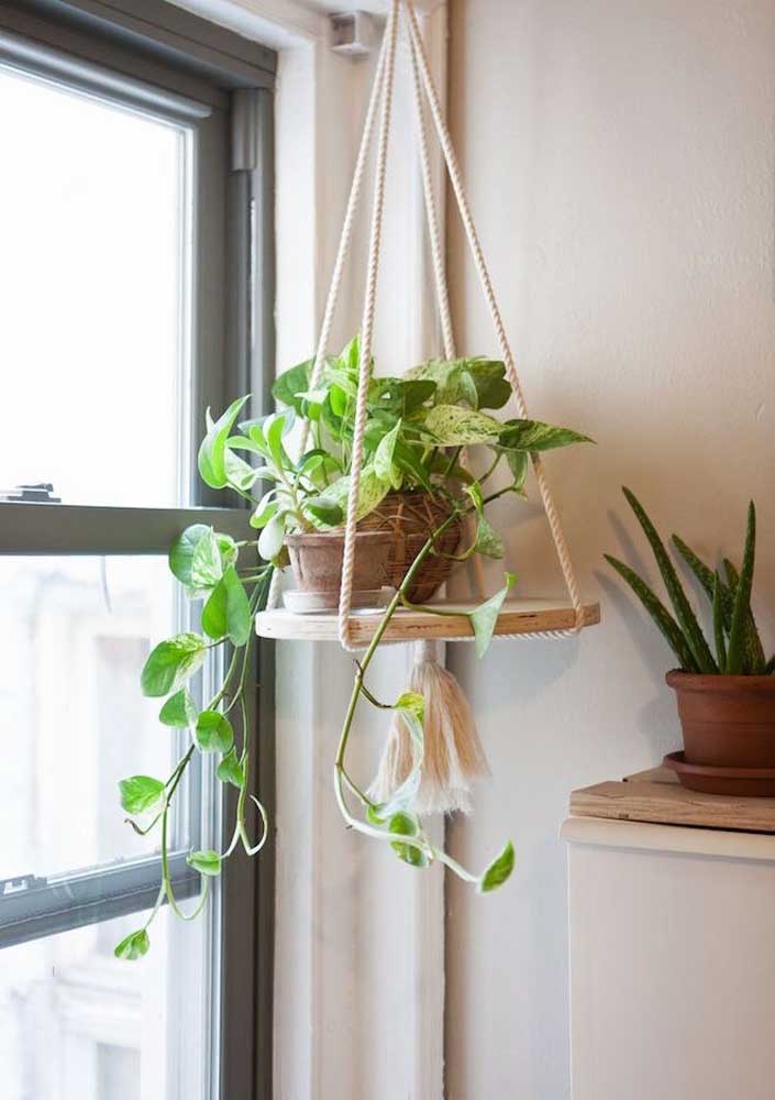 34 Dicas para Decoração de Sala com Plantas