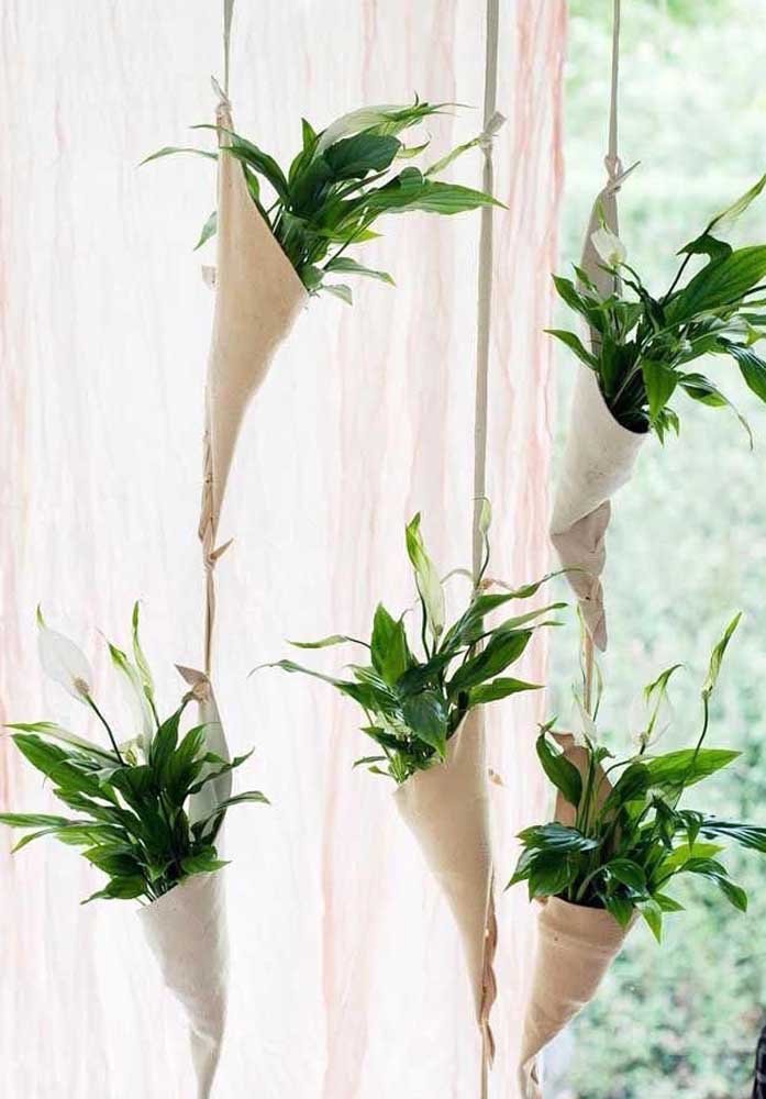 34 Dicas para Decoração de Sala com Plantas