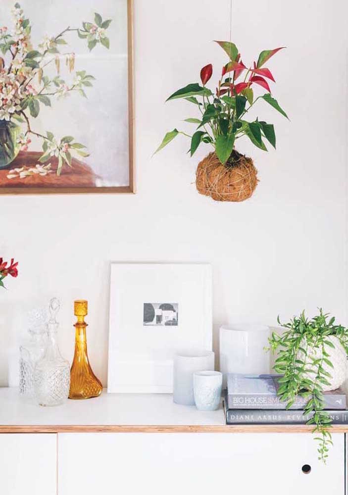 34 Dicas para Decoração de Sala com Plantas