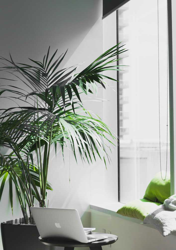 34 Dicas para Decoração de Sala com Plantas