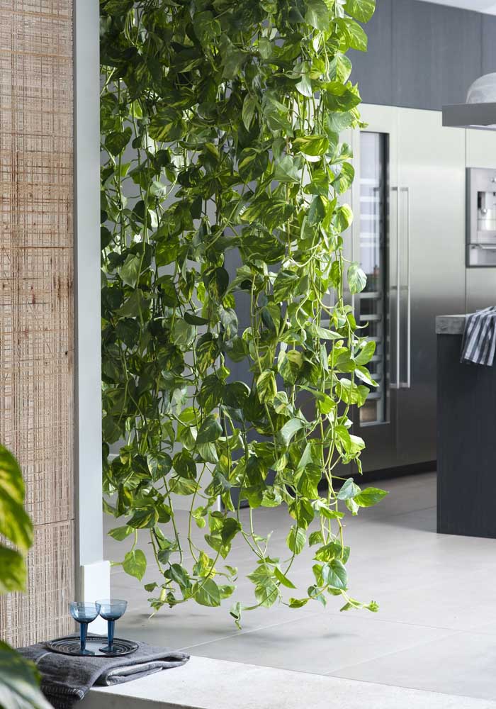 34 Dicas para Decoração de Sala com Plantas