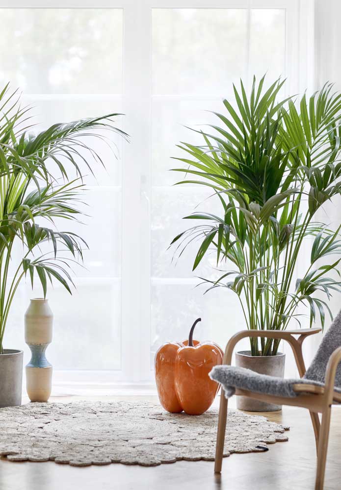 34 Dicas para Decoração de Sala com Plantas