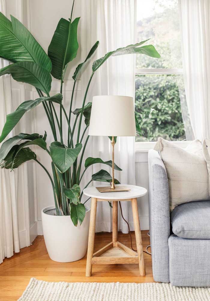 34 Dicas para Decoração de Sala com Plantas