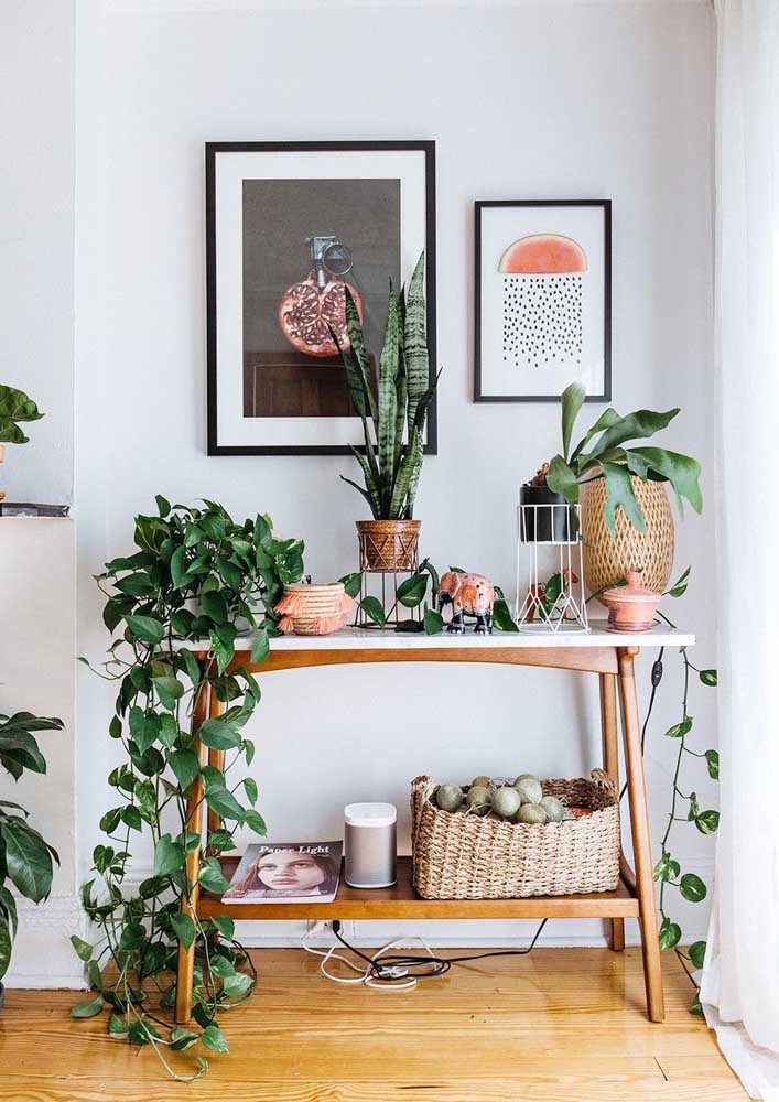 34 Dicas para Decoração de Sala com Plantas