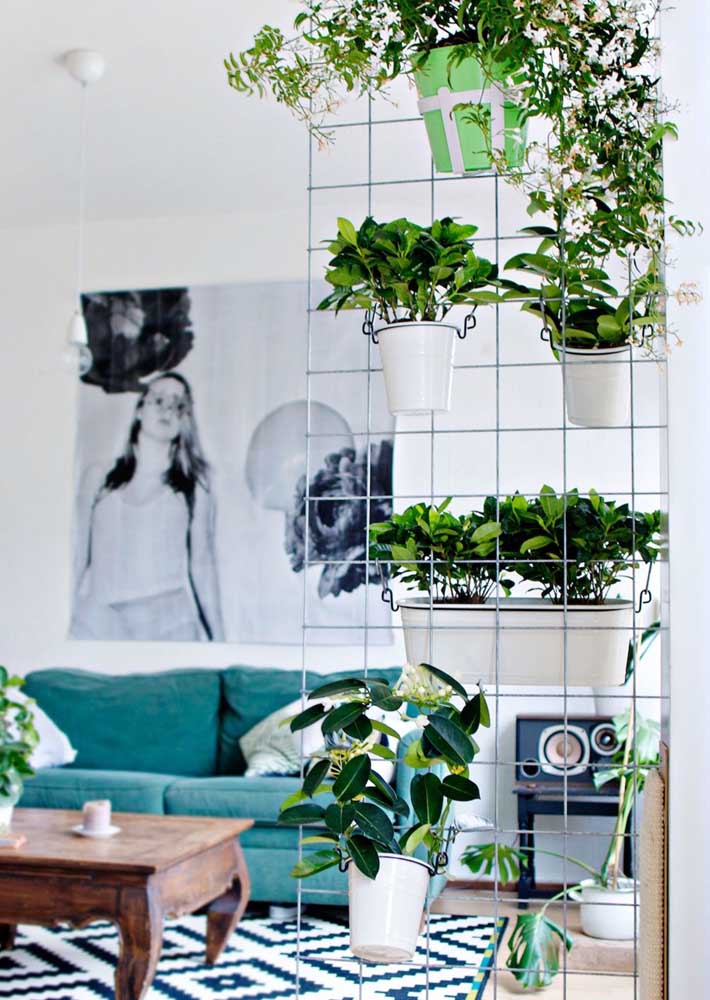 34 Dicas para Decoração de Sala com Plantas