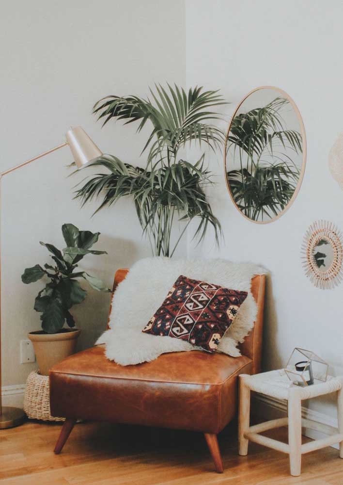 34 Dicas para Decoração de Sala com Plantas