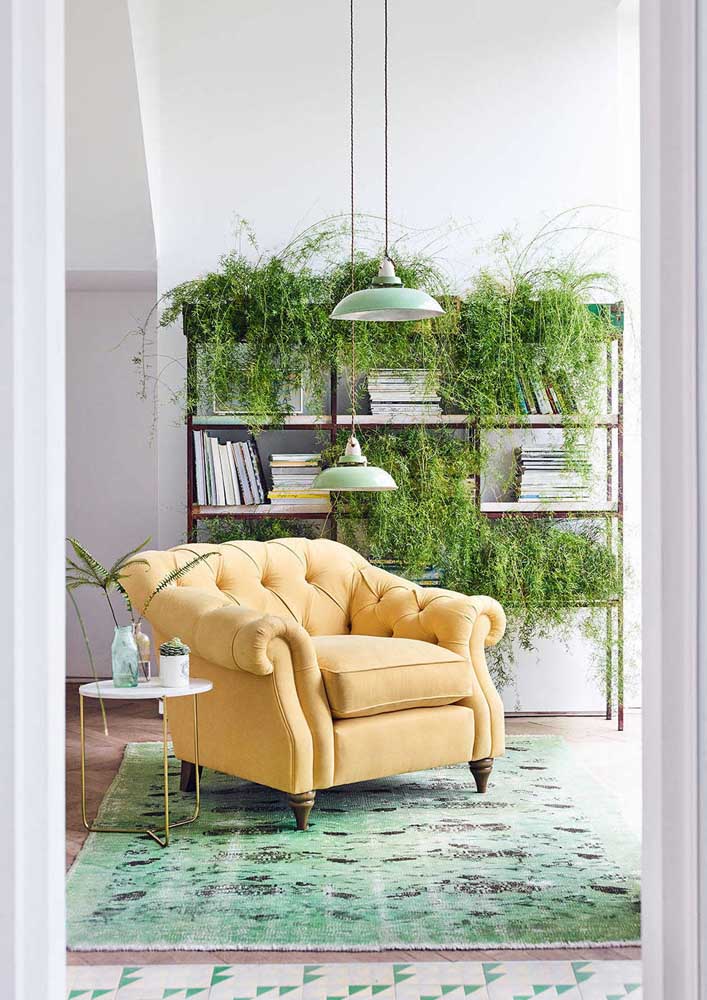 34 Dicas para Decoração de Sala com Plantas