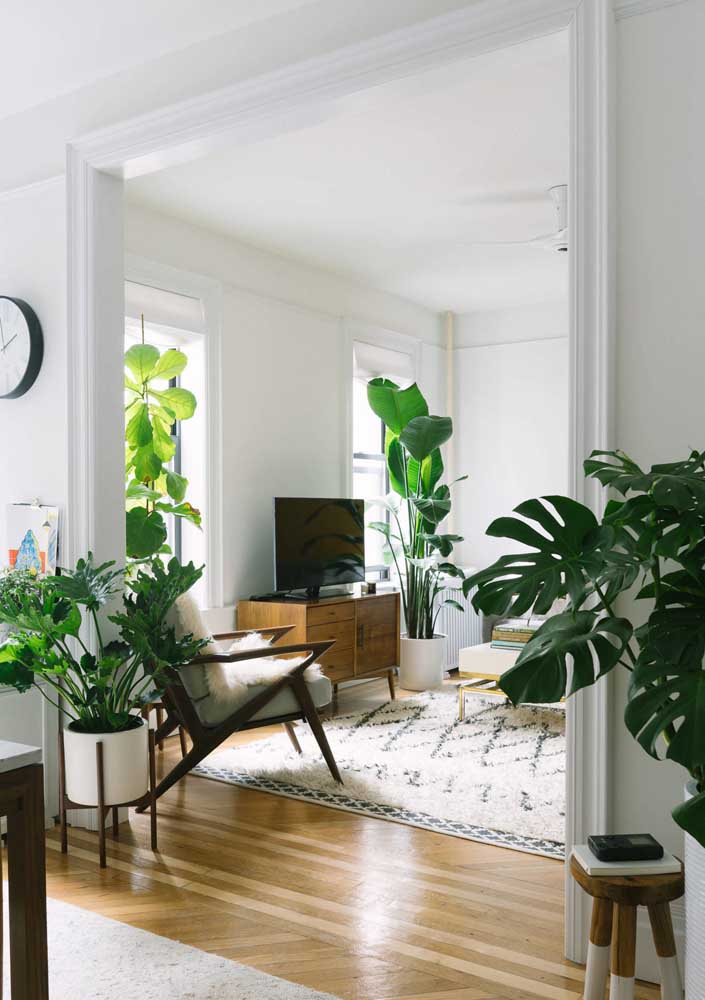 34 Dicas para Decoração de Sala com Plantas