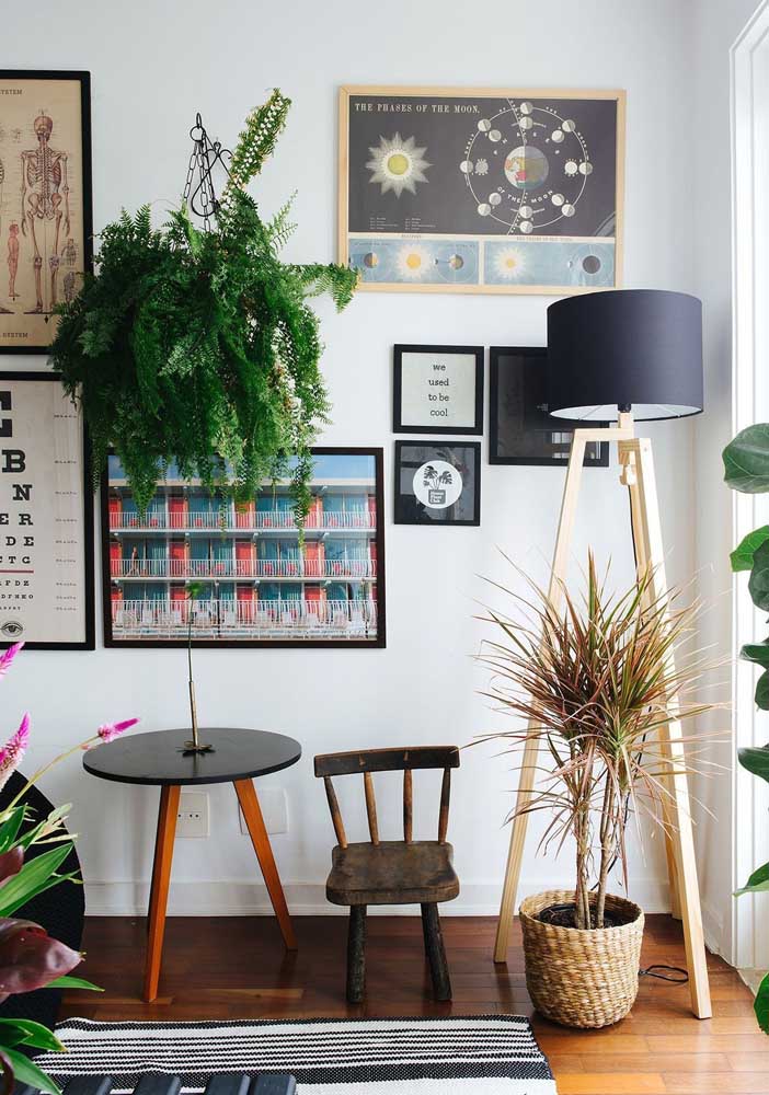 34 Dicas para Decoração de Sala com Plantas